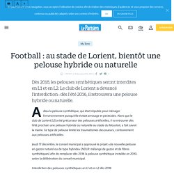 Football : au stade de Lorient, bientôt une pelouse hybride ou naturelle - Le Parisien