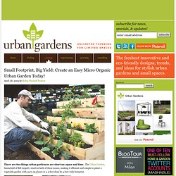 Small Footprint, Big Yield: Create an Easy Micro Organic Urban Garden Today!