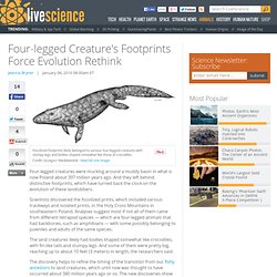 Four-legged Creature's Footprints Force Evolution Rethink