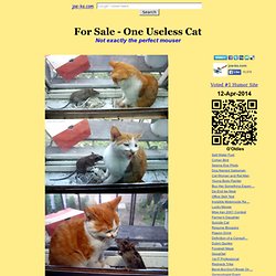 For Sale – One Useless Cat