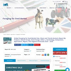 Foraging for Feed Market - In-Deep Analysis Focusing on Market Share