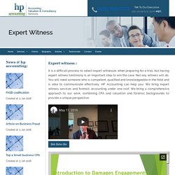 Business Valuation Expert Witness