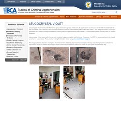 Forensic Science - Leucocrystal Violet