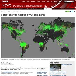 Forest change mapped by Google Earth