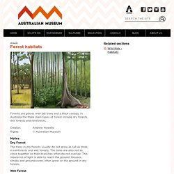 Forests