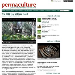 The 2000 year old food forest