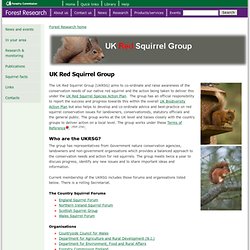 UK Red Squirrel Group