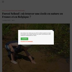 Forest School : où trouver une école en nature en France et en Belgique ? - Educ'France