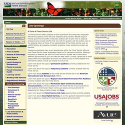 Forest Service - Job Openings