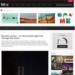 Foresta Lumina – an illuminated night trail through the forest