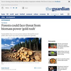Forests could face threat from biomass power 'gold rush'