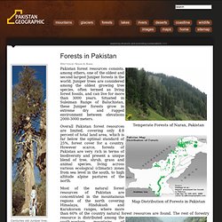 Forests in Pakistan