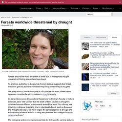 Forests worldwide threatened by drought