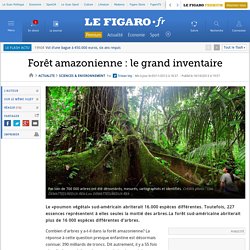 Forêt amazonienne : le grand inventaire
