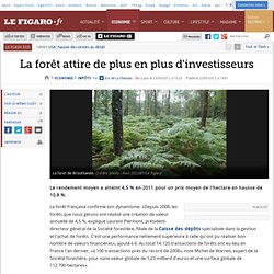 Impôts : La forêt attire de plus en plus d'investisseurs