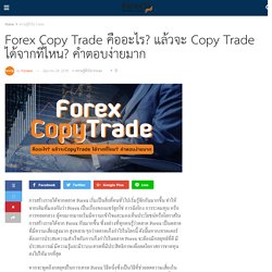 Forex Copy Trade คืออะไร? แล้วจะ Copy Trade ได้จากที่ไหน? คำตอบง่ายมาก