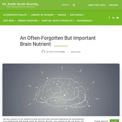 An Often-Forgotten But Important Brain Nutrient - Dr. Keith Scott-Mumby