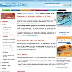 Formation au BEESAN - brevet d'état option natation