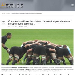 Formation team building et gestion cohésion d’équipe en Bretagne