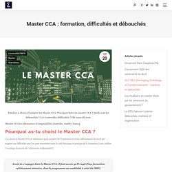 Master CCA : formation, difficultés et débouchés - Thotis