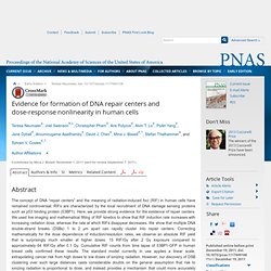 Evidence for formation of DNA repair centers and dose-response nonlinearity in human cells