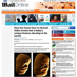 How the human face is formed: Video shows how a baby's unique features develop in the womb