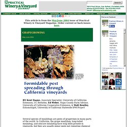 PRACTICAL WINERY & VINEYARD JOURNAL - MAI/JUIN 2004 - Formidable pest spreading through California vineyards