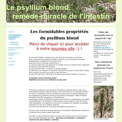 Les formidables propriétés du psyllium - Tout savoir sur le Psyllium blond, la plante-miracle de l'intestin
