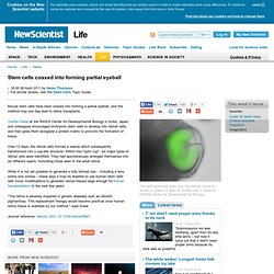 Stem cells coaxed into forming partial eyeball - life - 06 April 2011