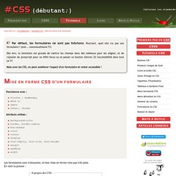 Mise en forme CSS d'un formulaire accessible - CSS Debutant
