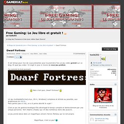 Dwarf Fortress - Blogs - Forums de discussion jeux vidéo Gamekult