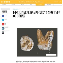 Fossil Finger DNA Points to New Type of Human