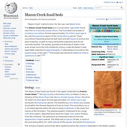 Mazon Creek fossil beds