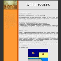 Web Fossiles