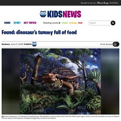 Fossilised last meal of plant-eating dinosaur found in Alberta, Canada