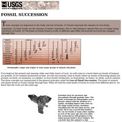 Fossils, Rocks, and Time: Fossil Succession