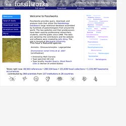 The Paleobiology Database