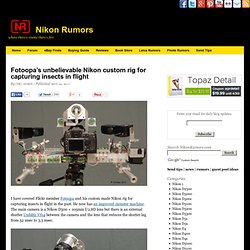 Fotoopa's unbelievable Nikon custom rig for capturing insects in flight