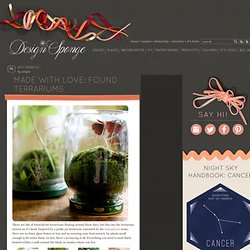 made with love: found terrariums