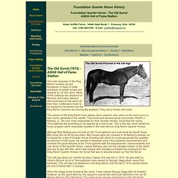 Foundation Quarter Horse History - Old Sorrel - AQHA Hall of Fame Horse