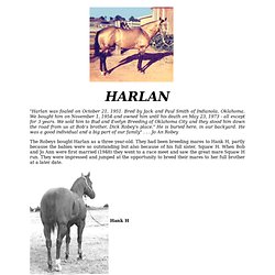 HARLAN Foundation Quarter Horse Stallion