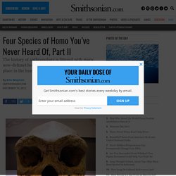 Four Species of Homo You’ve Never Heard Of, Part II