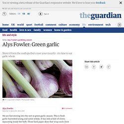 Alys Fowler: Green garlic