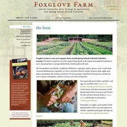 Foxglove Farm: the farm