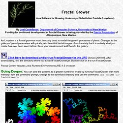 Fractal Grower (home)