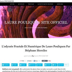 L'odysée Fractale et Numérique de Laure Pouliquen par S. Mereiles