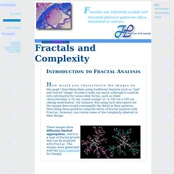 Fractals and Complexity