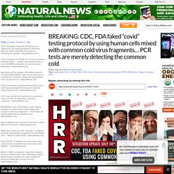 BREAKING: CDC, FDA faked “covid” testing protocol by using human cells mixed with common cold virus fragments… PCR tests are merely detecting the common cold – NaturalNews.com