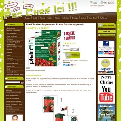 Plant'Fraise Suspension Fraise Jardin suspendu