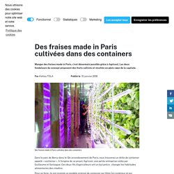 UP INSPIRER 15/01/16 Des fraises made in Paris cultivées dans des containers